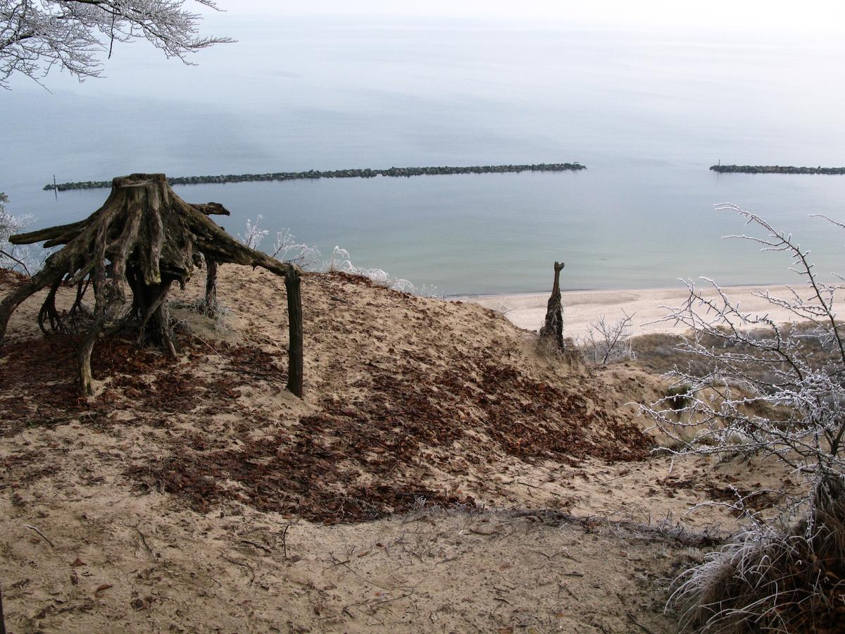Ferienpark An Der Seebruecke 科瑟罗 外观 照片